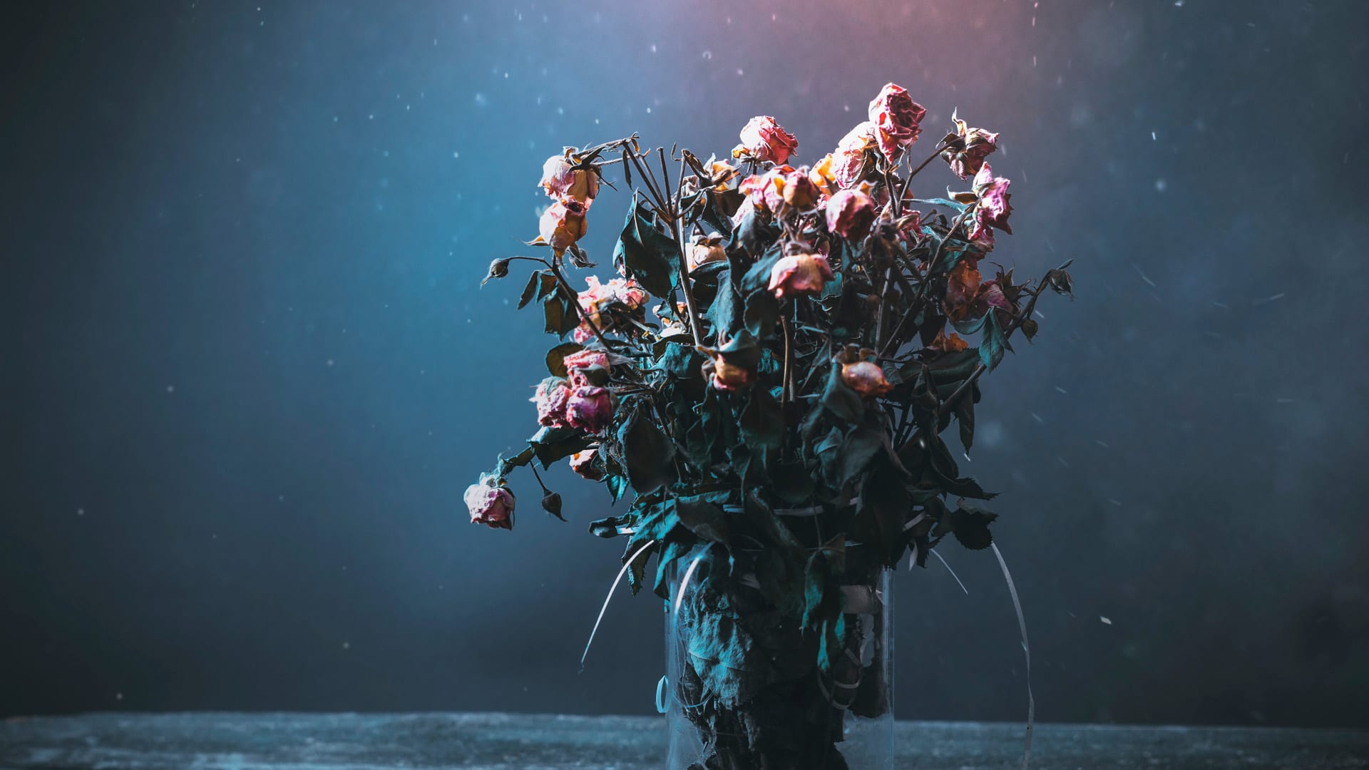 Rs.1.25 Crores turnover for the first season. Thank you all our clients and suppliers